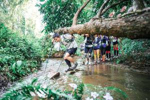 BIB: 
                            <button type="button" onclick="openModal(25516795)" class="btn btn-primary btn-sm float-right btn-popup" data-toggle="modal" data-target=".modal-high-quality">
                        <i class="fas fa-shopping-cart"></i> Add to Cart
                    </button>
                                            <button type="button" onclick="isThisMe(25516795, true)" class="btn btn-success btn-sm float-right btn-popup btn-isme hidden" data-toggle="tooltip" data-placement="bottom" title="นี่คือรูปของคุณใช่ไหม คลิกที่นี่เพื่อเอาเข้าอัลบั้ม">
                        <i class="fas fa-plus"></i> Add to album
                    </button>
                    <button type="button" onclick="isThisMe(25516795, false)" class="btn btn-warning btn-sm float-right btn-popup btn-isnotme hidden">
                        <i class="fas fa-ban"></i> Remove from album
                    </button>